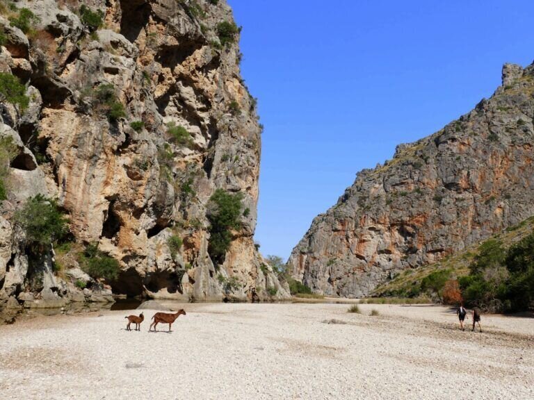 Wunderschönes Mallorca