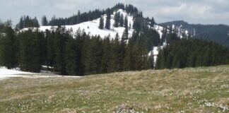 Krokustour auf die Ingolstädter Hütte am Immenstädter Horn Der Drehersberg im Ehrenschwanger Tal hinter der Krokuswiese