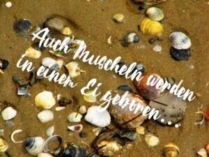 Aus dem Ei entsteht neues Leben