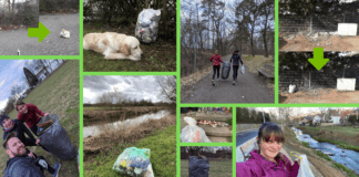 Schwanenteich parkrun Plogging-Special Collage mit Bildern vom Müllsammeln