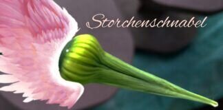 Nur eine Geschichte