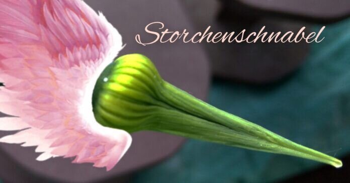 IMG_20210529_105027_329 Nur eine Geschichte