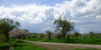 Wanderung durch die Lahnaue