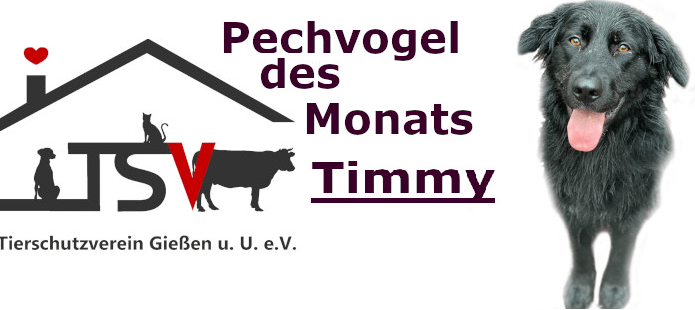 Unbenannt
