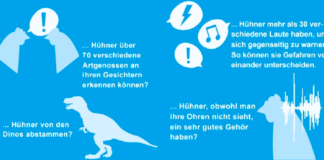 Wussten Sie dass …