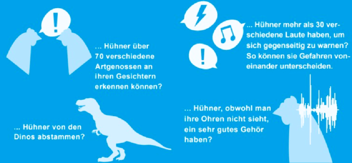 Huehner_in_der_Landwirtschaft 2
