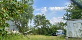 Die Vorkommen der streng geschützten Geburtshelferkröte im Steinbruch in Grüningen müssen schnellstmöglich geschützt werden!