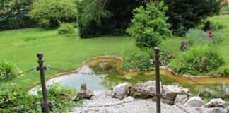 Der Gailsche Park – ein historischer englischer Landschaftspark