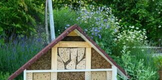 5 Sterne Insektenhotel