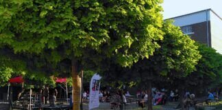 Idyllisch und Familiär: Sommerkulturkirche "unter den Platanen" am 12. Juni 2021