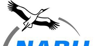 Jahreshauptversammlung 2020 NABU Gruppe Langd am 7. August
