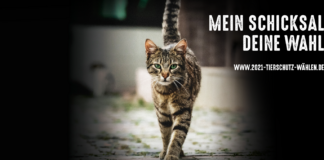 MEIN SCHICKSAHL, DEINE WAHL
