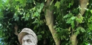 Der Weinbauer