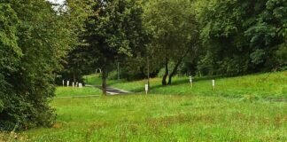 Im kleinen Park wird sich etwas verändern