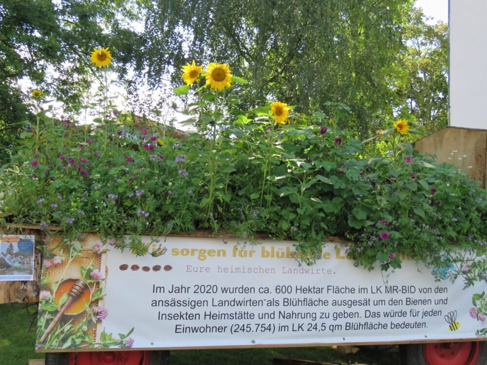IMG_6542 (2)