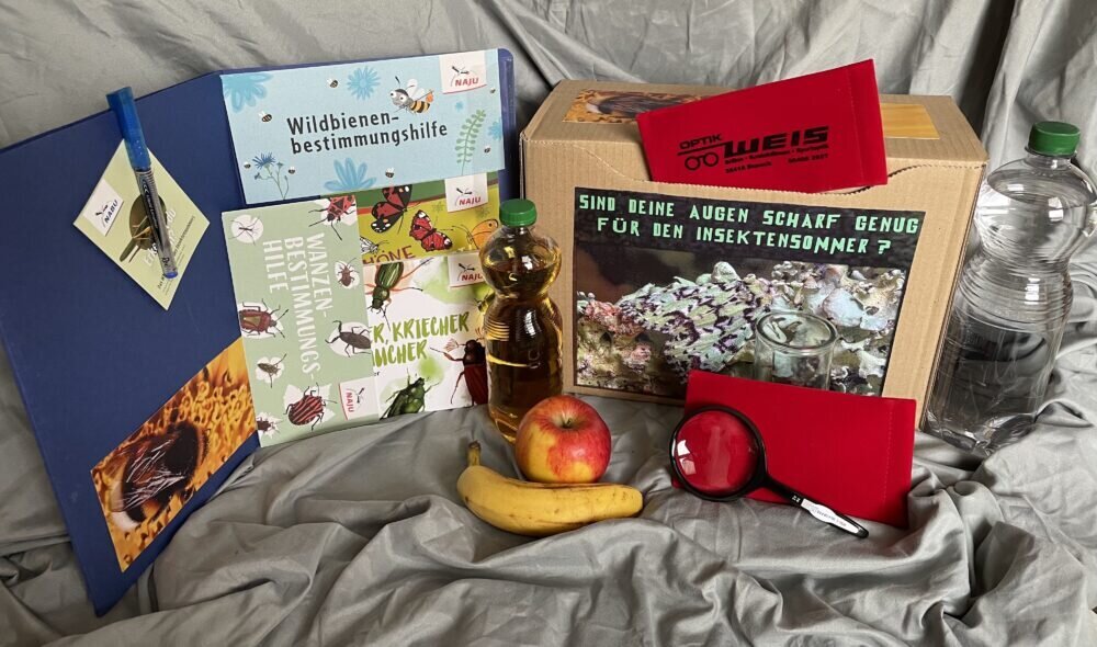 Entdeckerpaket Insektensommer TSG Entdeckerpaket zum Insektensommer