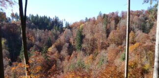 Herbst in der Adelegg Ausführlicherer Text am Ende der Bildreihe