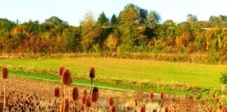 Bunter Herbst