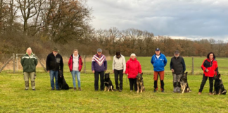 Herbstprüfung im Verein für Deutsche Schäferhunde