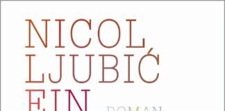 Buchtipp: Ein Mensch brennt – Nicol Ljubic