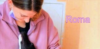 Hundeteeny Roma!