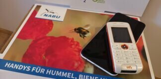 Altgeräte-Sammel-Aktion in Lich startet neu! Altgeräte-Sammelaktion Insektenschutz NABU