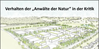 Pohlheimer „Grüne” und NABU Kreisverband dulden Biotopzerstörung „Am schwarzen Morgen”