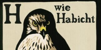 Buchtipp: H wie Habicht – Helen Macdonald