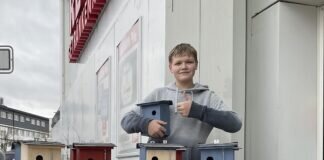 Schön, praktisch und aus Holz – Vogelhäuser der Francke-Schüler