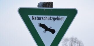 Neubau der Pohlheimer Kita “Am Schwarzen Morgen” würde das Naturschutzgebiet “Lückebachaue” massiv stören – FREIE WÄHLER Haushaltsrede 2022