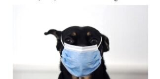 Masken weiterhin erwünscht!