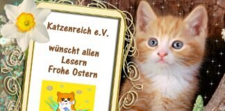 Katzenreich e.V. wünscht allen Lesern schöne Ostern