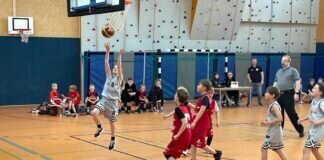 Lindens Basketballteams erneut erfolgreich