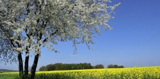 Vollfrühlings-Radtour durch den nahen Vogelsbergkreis.