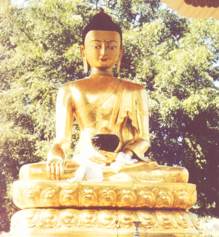 SHAKYA7D