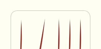 Buchtipp: Krokodilwächter – Katrine Engberg