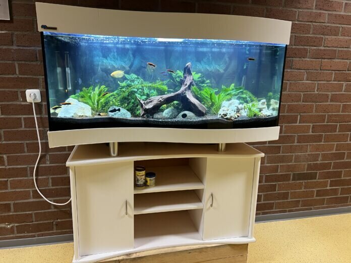 Aquarium 1 AFS Linden