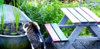 Schnappschuss