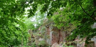 Auf dem Rochlitzer Berg in Sachsen