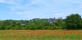 Kleine Fahrradtour nach Wetzlar mit Mohnwiesen und Störchen