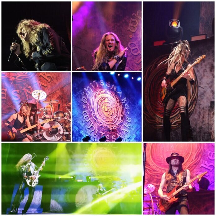 Whitesnake
