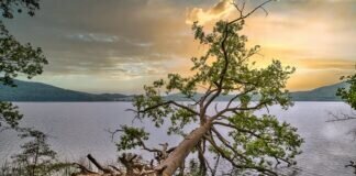 Wanderweg rund um den Laacher See und das Kloster Maria Laach….