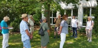Stadtführungen und Infostand zum Grünberger Stadtfest
