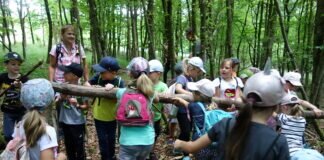 Erfolgreicher Neustart der NAJU Kindergruppe Nonnenroth