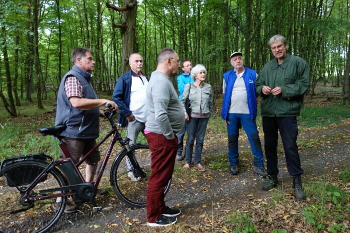 Wald-Exkursion