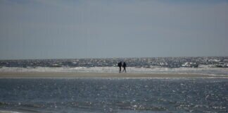 Friesisch herb: St.Peter-Ording mit Westerheversand