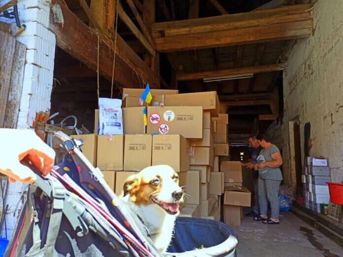 IMG-20220712-WA0005