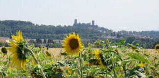 Tag der Regionen in Hessen: „Aktionszeitraum vom 1. September bis 31. Oktober 2022“ Viele Angebote in der Region Mittelhessen vom 1. September bis 31. August 2022. September