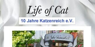 Sommerfest im Katzenreich