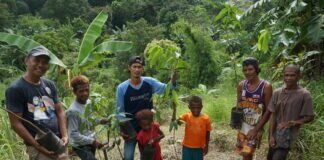 Licher NGO unterstützt Aufforstung des philippinischen Urwalds